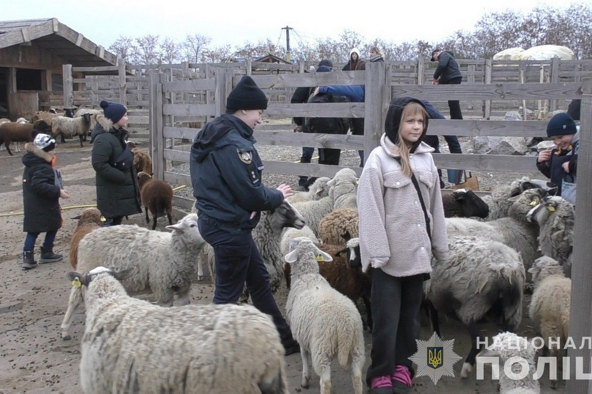  Як на Дніпропетровщині проходять реабілітацію поранен 4