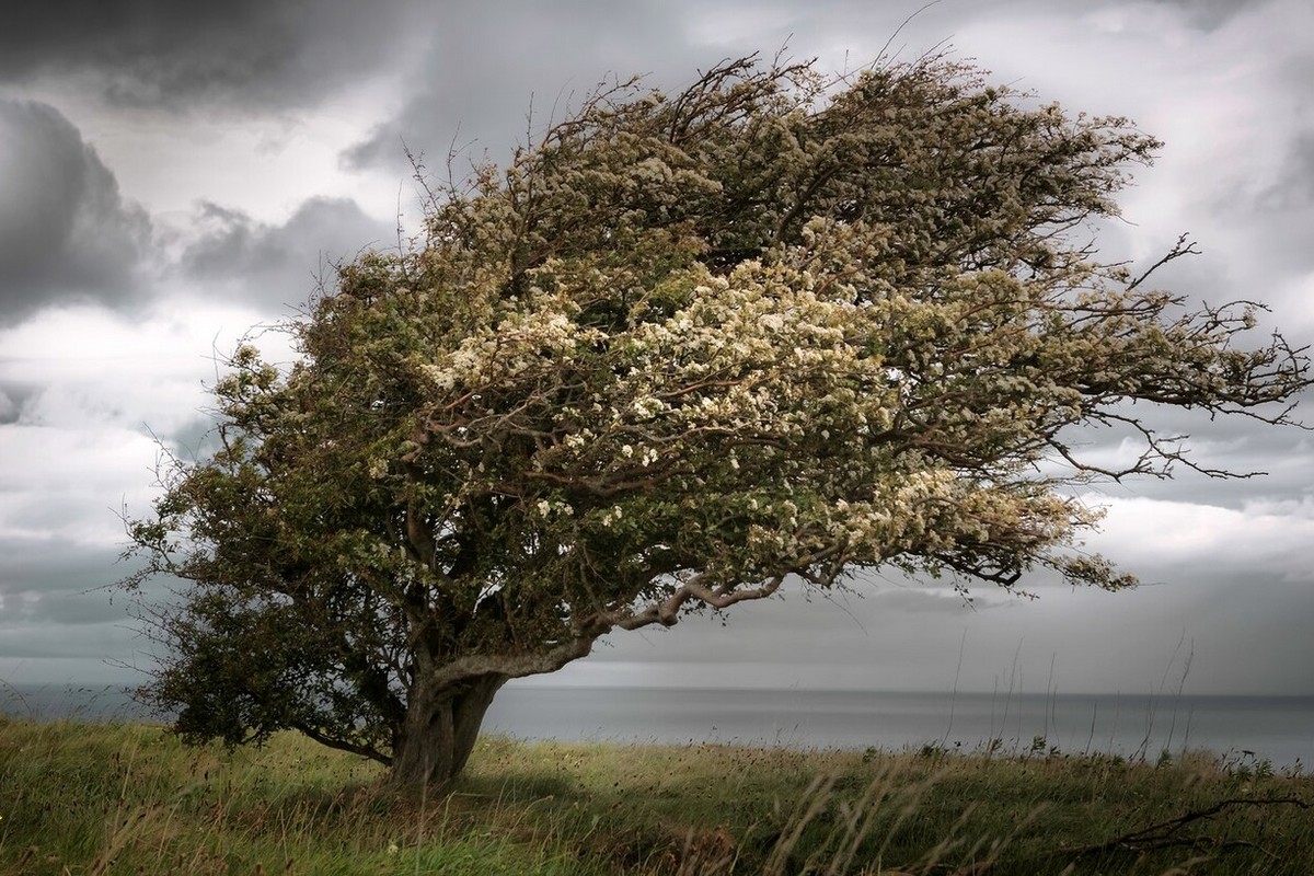 Мешканців Дніпропетровщини попереджають про пориви вітру 2 листопада 1 Мешканців Дніпропетровщини попереджають про пориви вітру 2 листопада 2