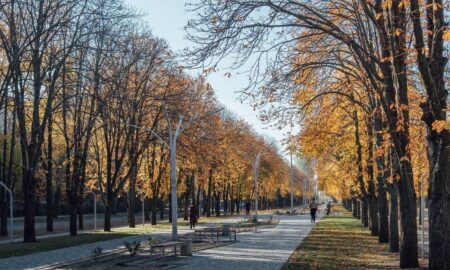 Погода у Нікополі 11 жовтня