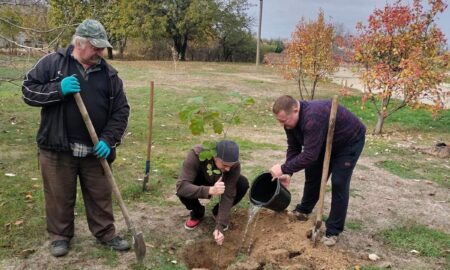 У Нікополі благодійники висадили саджанці дерев 4