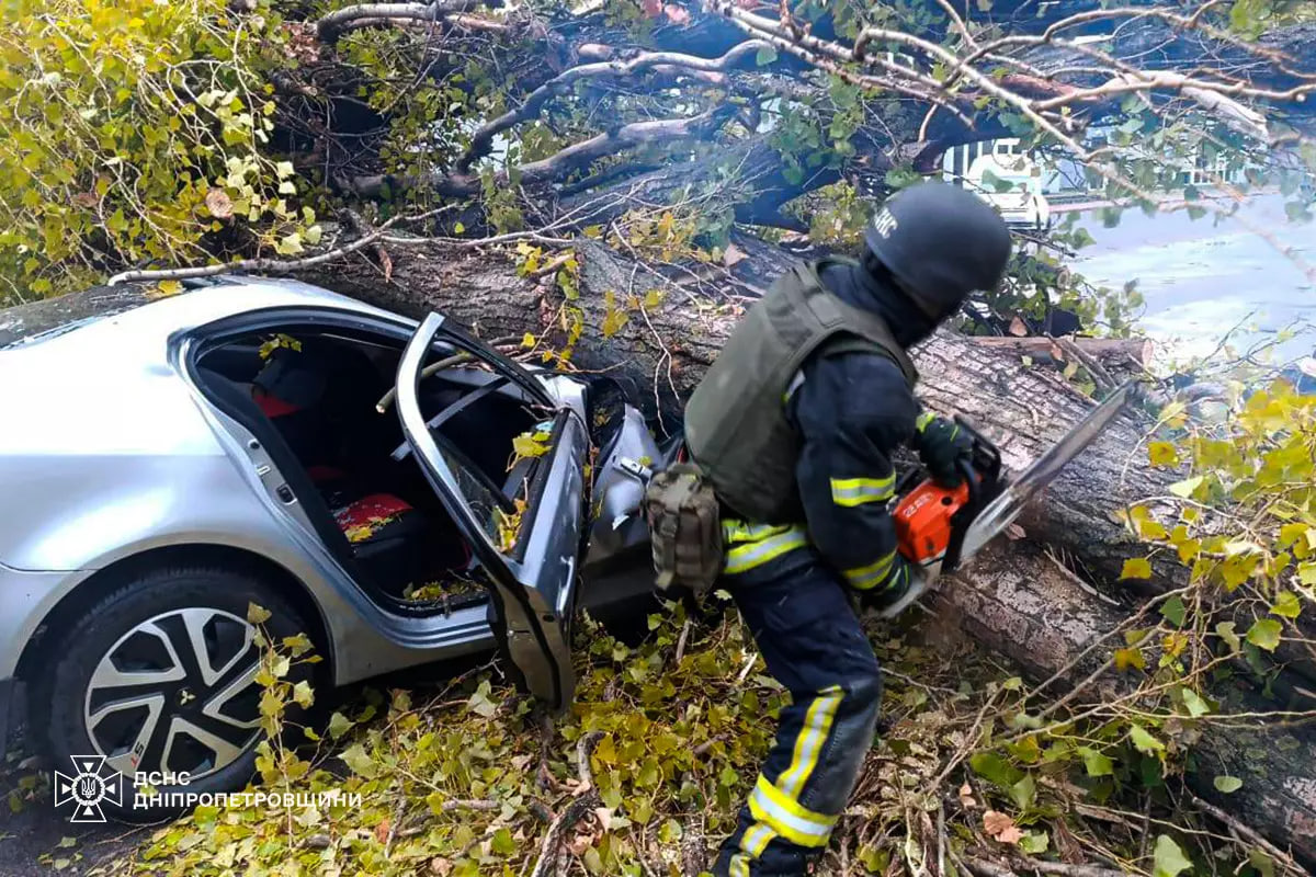  У Нікополі через падіння дерева на автомобіль загинув чоловік