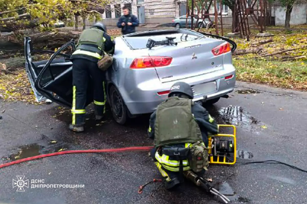  У Нікополі через падіння дерева на автомобіль загинув чоловік 2