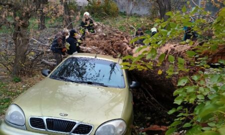 На Дніпропетровщині вітер повалив понад 20 дерев і пошкодив покрівлю (фото)