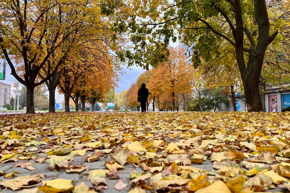 Як пройшла ніч 5 листопада у Нікополі і на всій території області 1 Як пройшла ніч 5 листопада у Нікополі і на всій території області