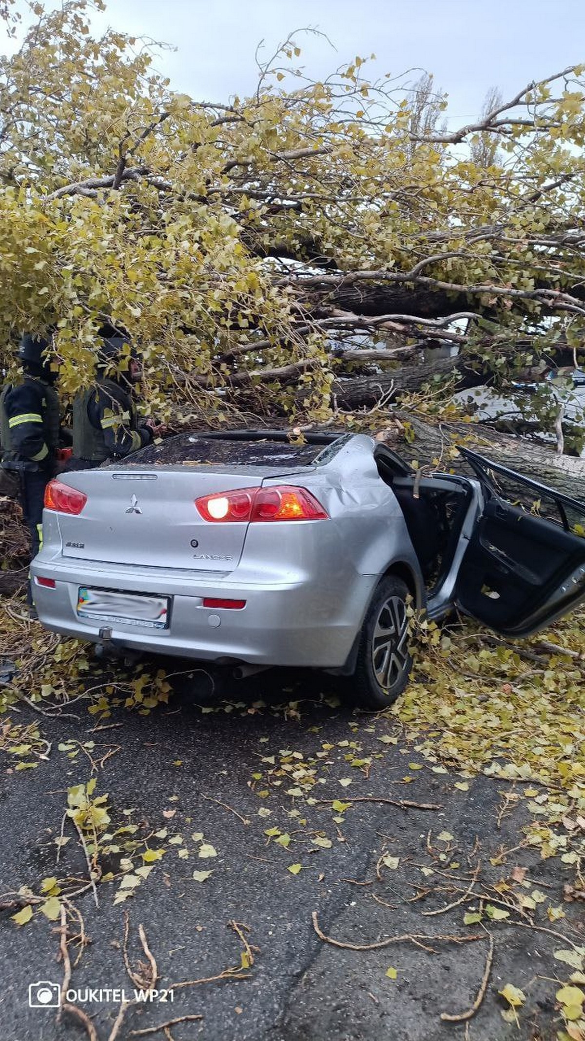 У Нікополі пориви вітру сягають 20 м/с: падають дерева – будьте обережні!