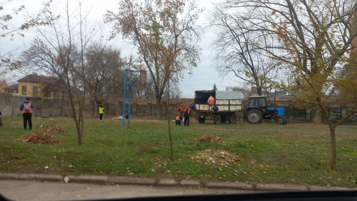 Викорчовували пні, рубали поросль, збирали листя: чим займалися комунальники Марганця на минулому тижні