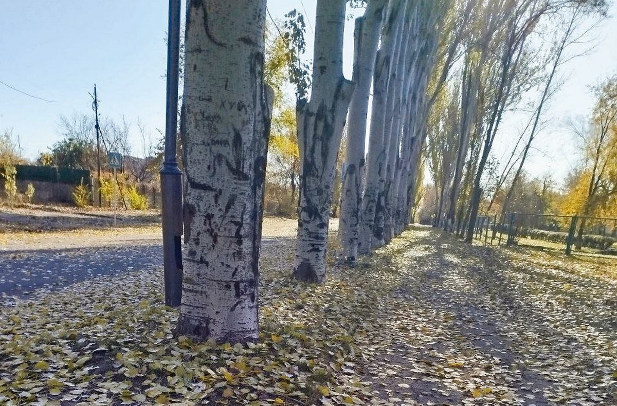 Хмарно і без опадів: погода у Нікополі 18 листопада 1 погода у Нікополі 18 листопада