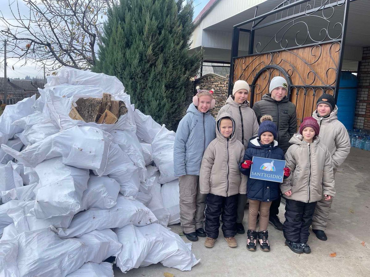 На Нікопольщині 156 домоволодінь отримали дрова (фото) 1 на Нікопольщині 4