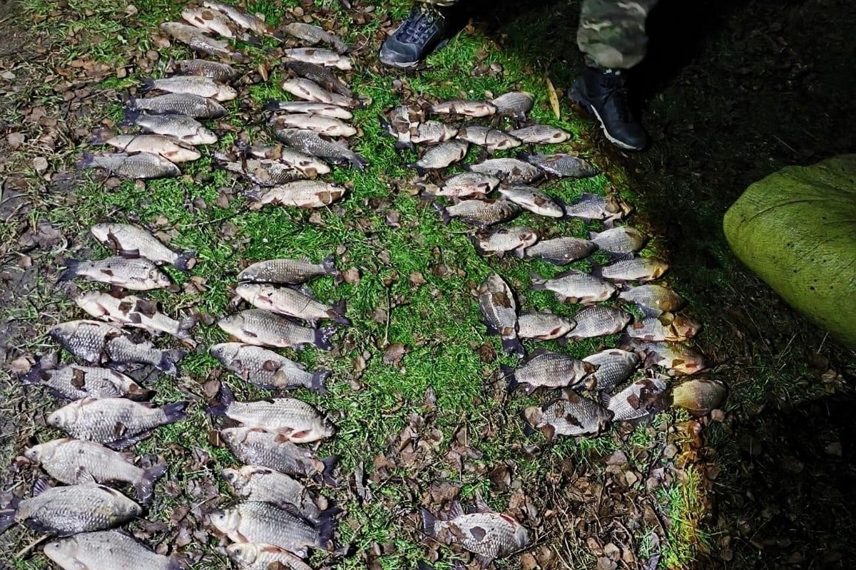 У Нікопольському, Дніпровському та Самарівському районах затримали браконьєрів 1 У Нікопольському, Дніпровському та Самарівському районах затримали браконьєрів