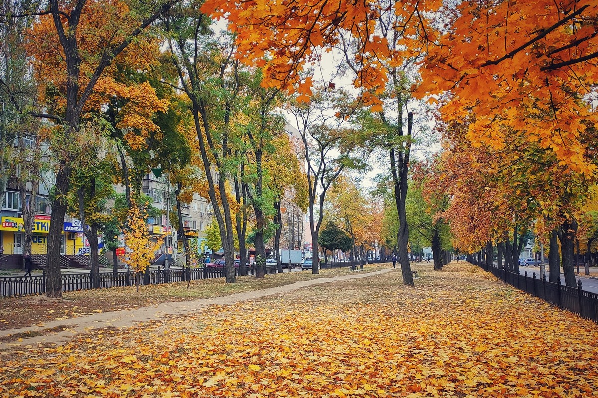 Проспект Трубників восени, наші дні