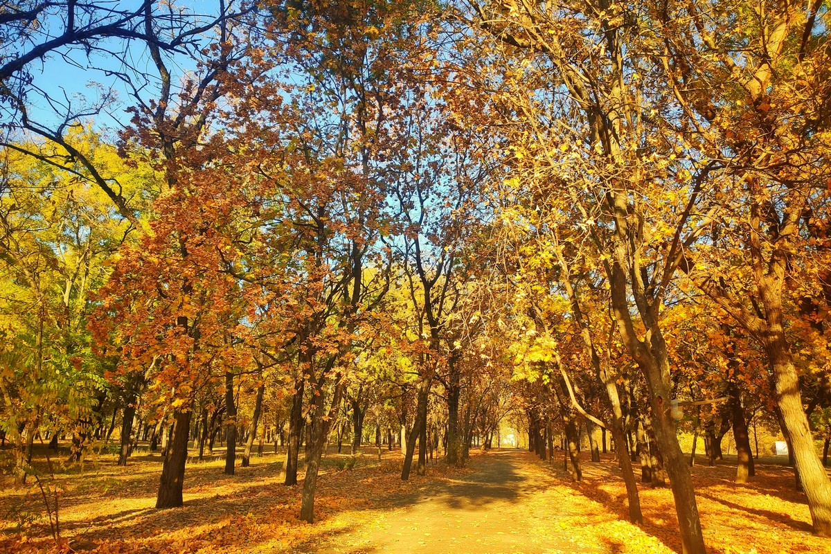 Парк Металургів, наші дні