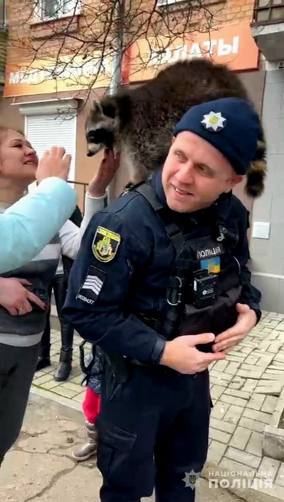 У Нікополі єнотиху Міну з Кринок рятували поліцейські: фото, відео