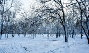 погода у Нікополі