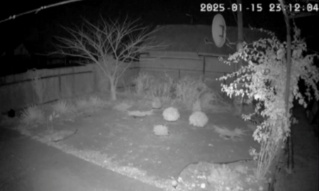 Момент ворожого удару по Нікополю 15 січня: в мережі оприлюднили відео 31 удару по Нікополю