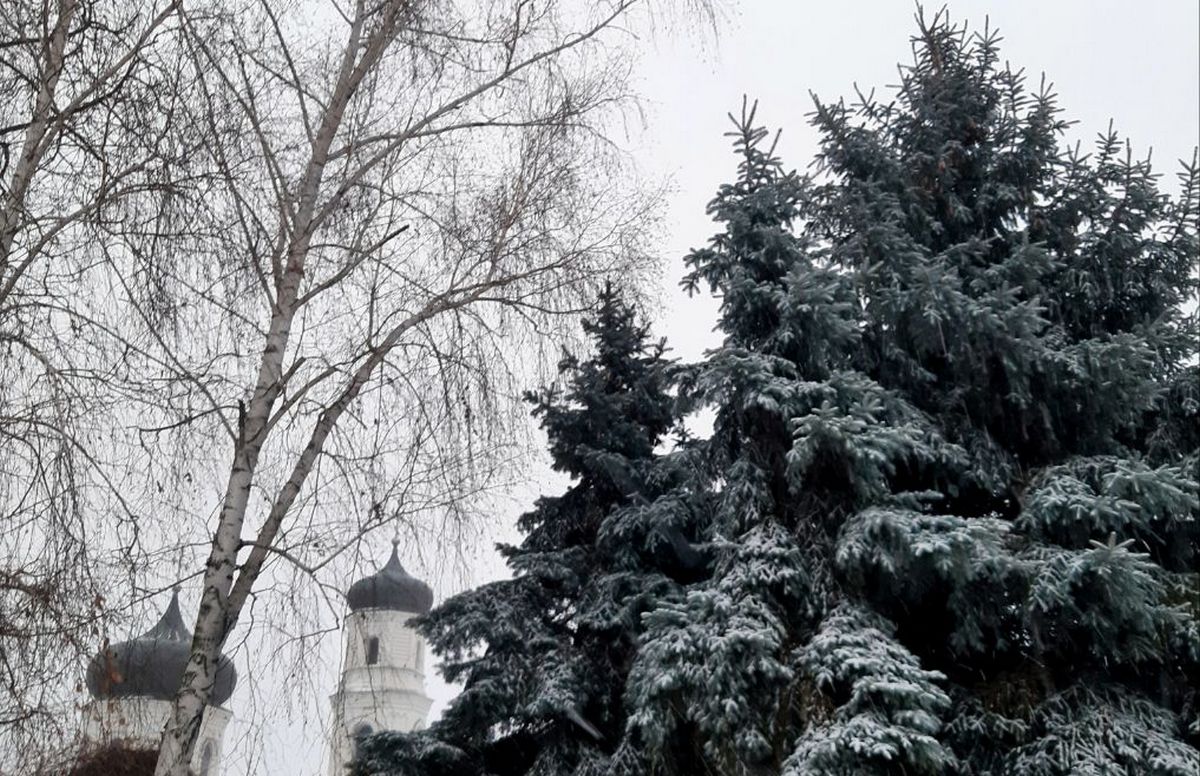 Хмарно з проясненнями: погода у Нікополі 21 лютого 1 Погода у Нікополі