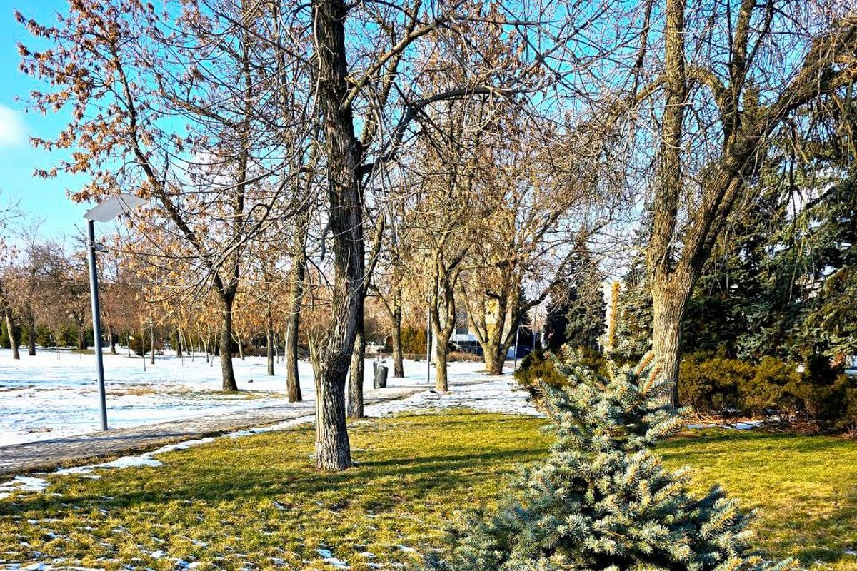 Буде сонячно і потеплішає: погода у Нікополі 27 лютого