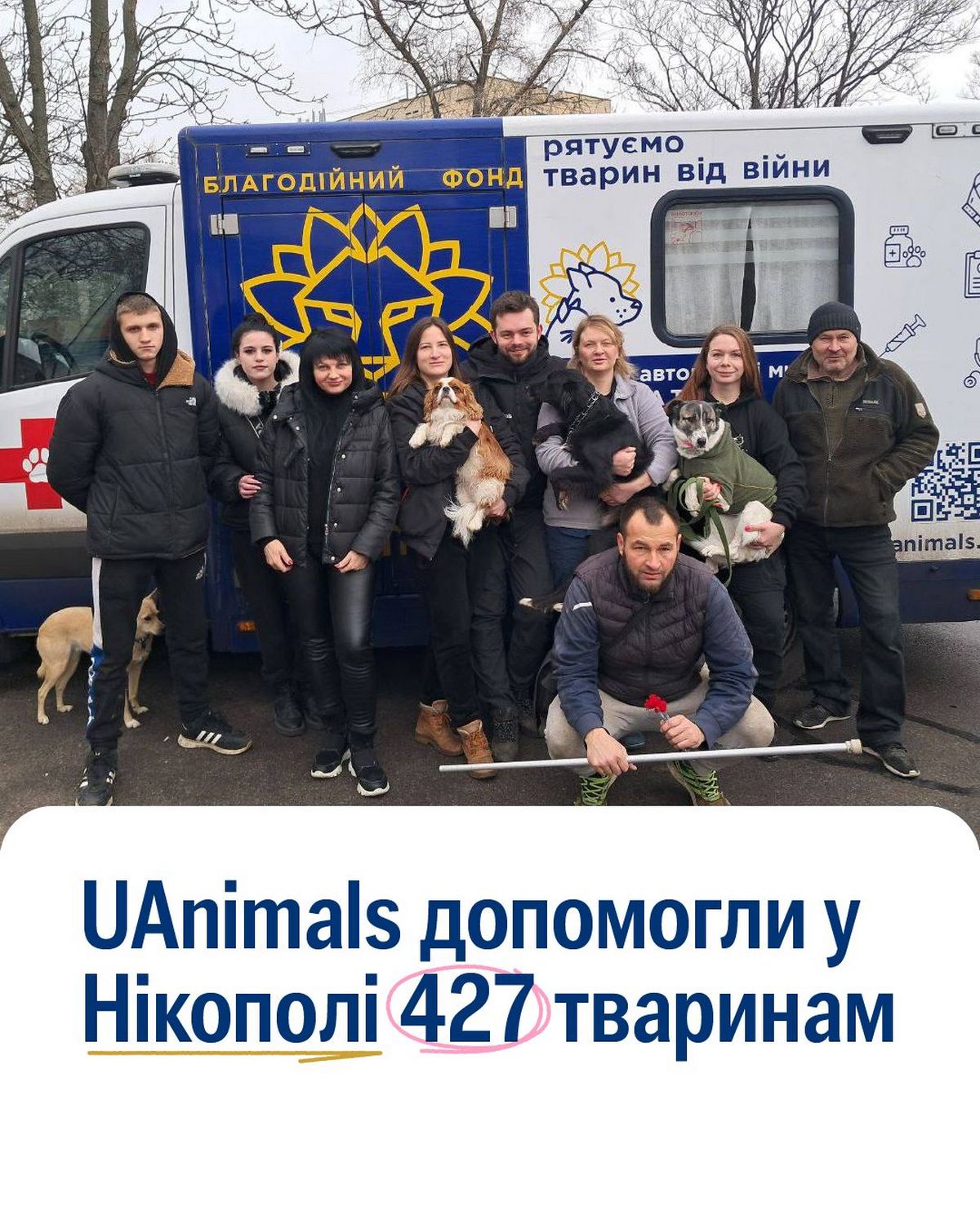 про ветеринарну місію до Нікополя, розповіли у UAnimals