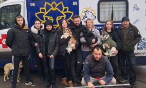 про ветеринарну місію до Нікополя, розповіли у UAnimals 2