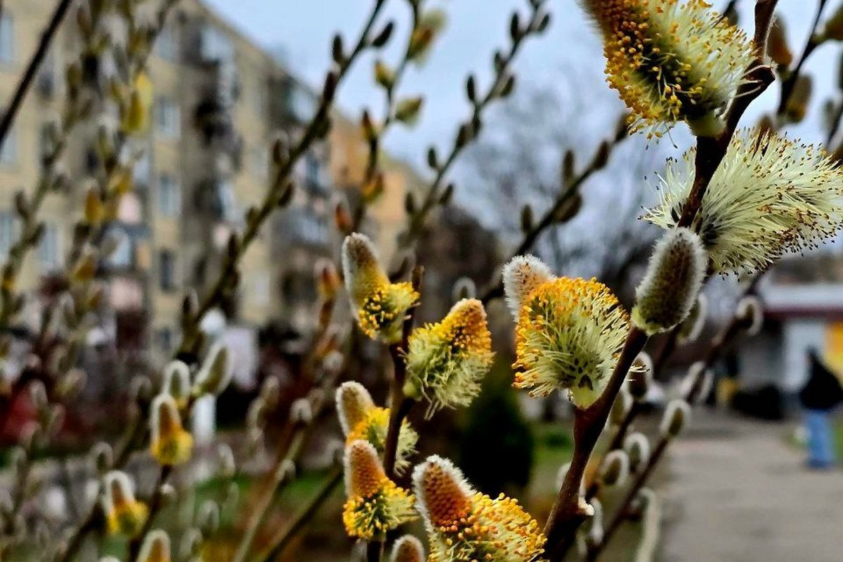 Хмарно з проясненнями і прохолодно: погода у Нікополі 22 березня 1 Хмарно з проясненнями і прохолодно: погода у Нікополі 22 березня