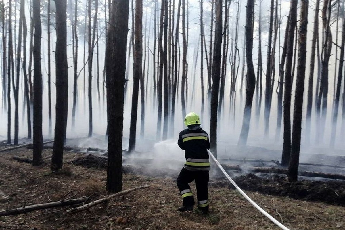 На Дніпропетровщині за добу вигоріло 92 га екосистем, ситуацію ускладнював вітер (фото)