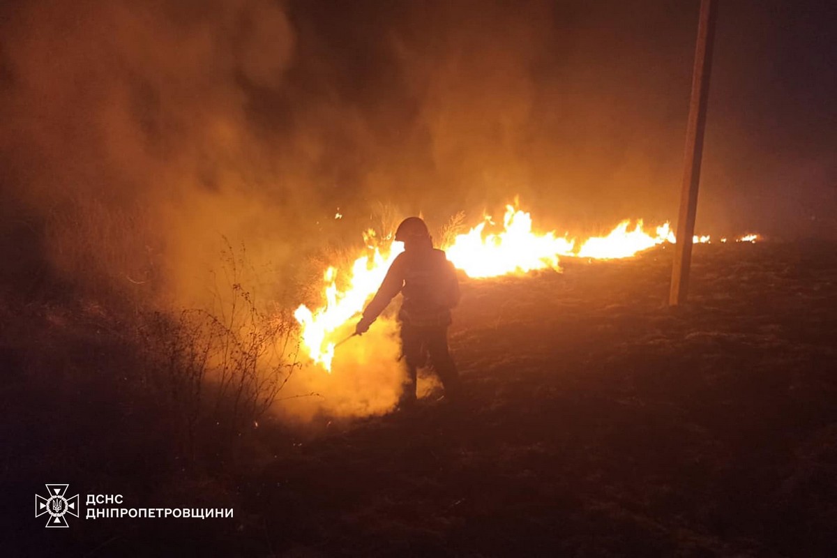 На Дніпропетровщині за добу ліквідовано 71 пожежу в екосистемах: фото