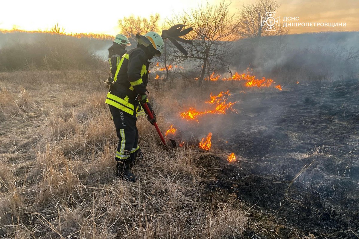 На Дніпропетровщині за добу ліквідовано 71 пожежу в екосистемах: фото