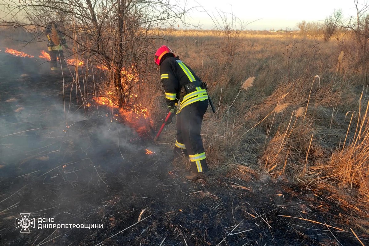 На Дніпропетровщині за добу ліквідовано 71 пожежу в екосистемах: фото