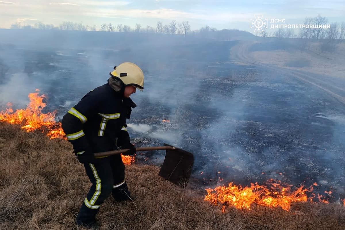 На Дніпропетровщині за добу виникло 76 пожеж в екосистемах