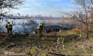 На Дніпропетровщині за добу ліквідовано 71 пожежу в екосистемах