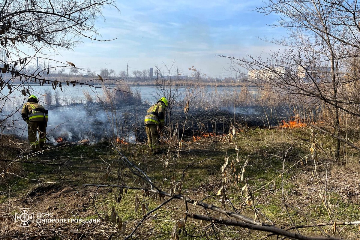 На Дніпропетровщині за добу ліквідовано 71 пожежу в екосистемах: фото