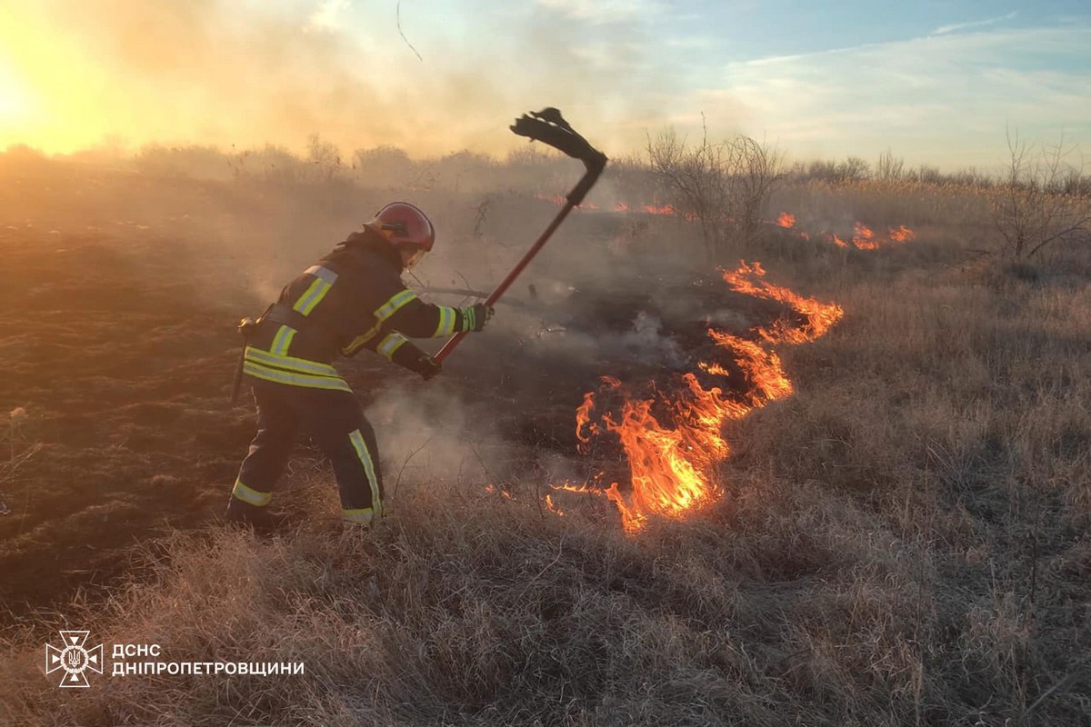 На Дніпропетровщині за добу ліквідовано 71 пожежу в екосистемах: фото