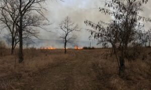 На Нікопольщині спалахнули Томаківські гори! Вогонь підбирається до будинків