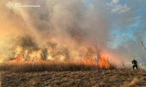 На Дніпропетровщині