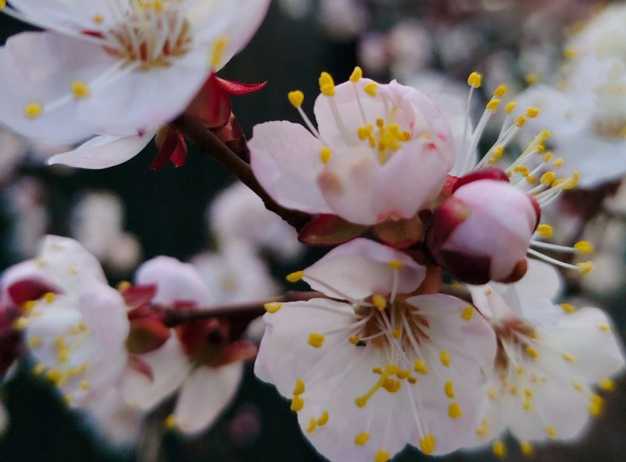 Очікується дощ: погода у Нікополі 29 березня 1 Погода у Нікополі