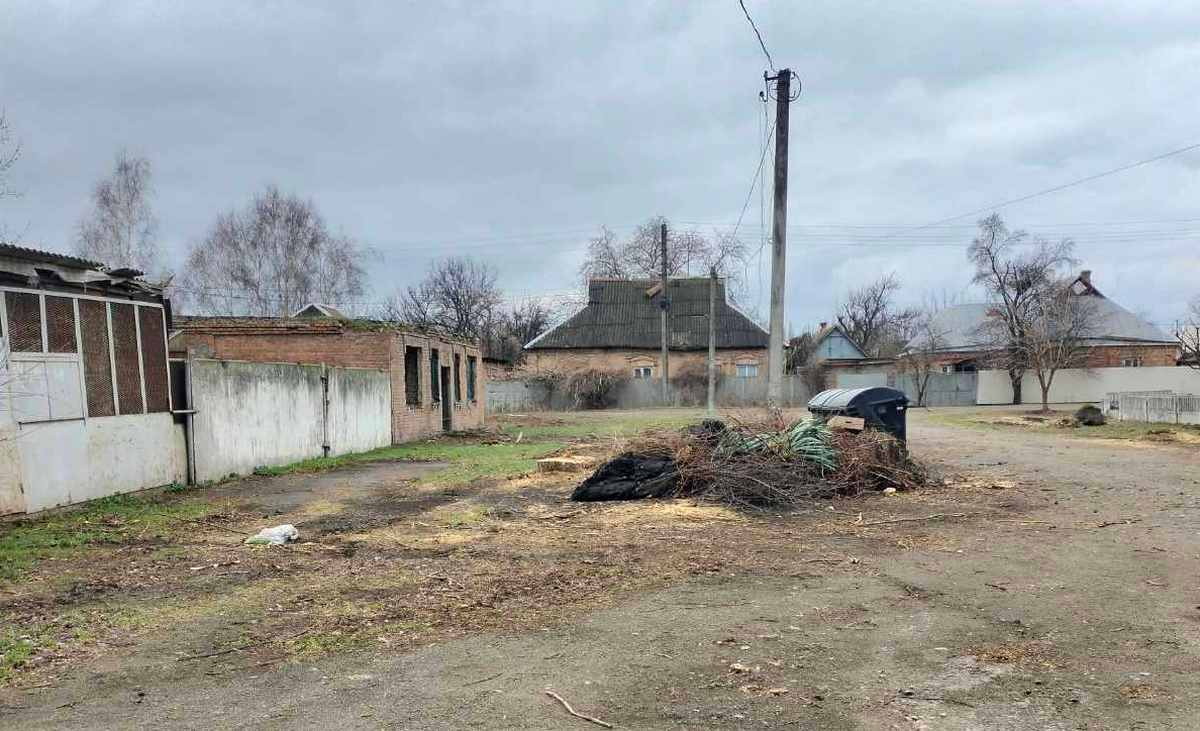  У Нікополі планують провести толоку, висадити саджанці дерев і облаштувати клумбу (фото) 3