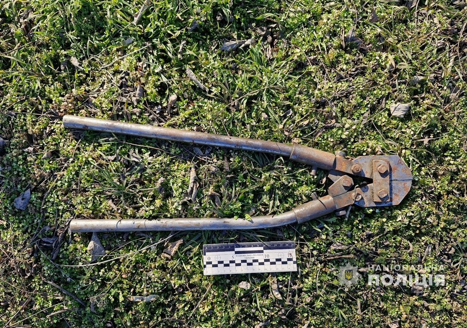 на Нікопольщині викрили  41 річного зловмисника 2