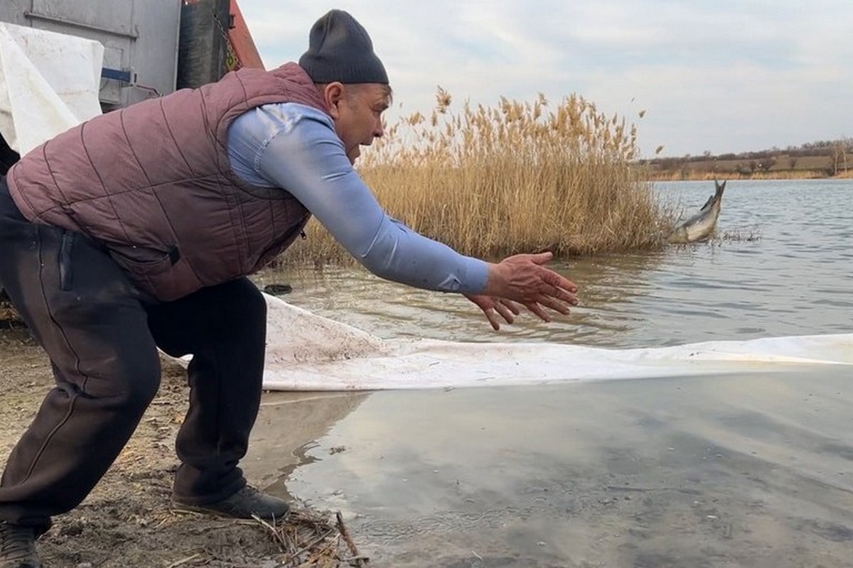Сьогодні це рідкісне явище: на Нікопольщині зарибили ставок завдяки підтримці благодійника 1 Сьогодні це рідкісне явище: на Нікопольщині зарибили ставок завдяки підтримці благодійника