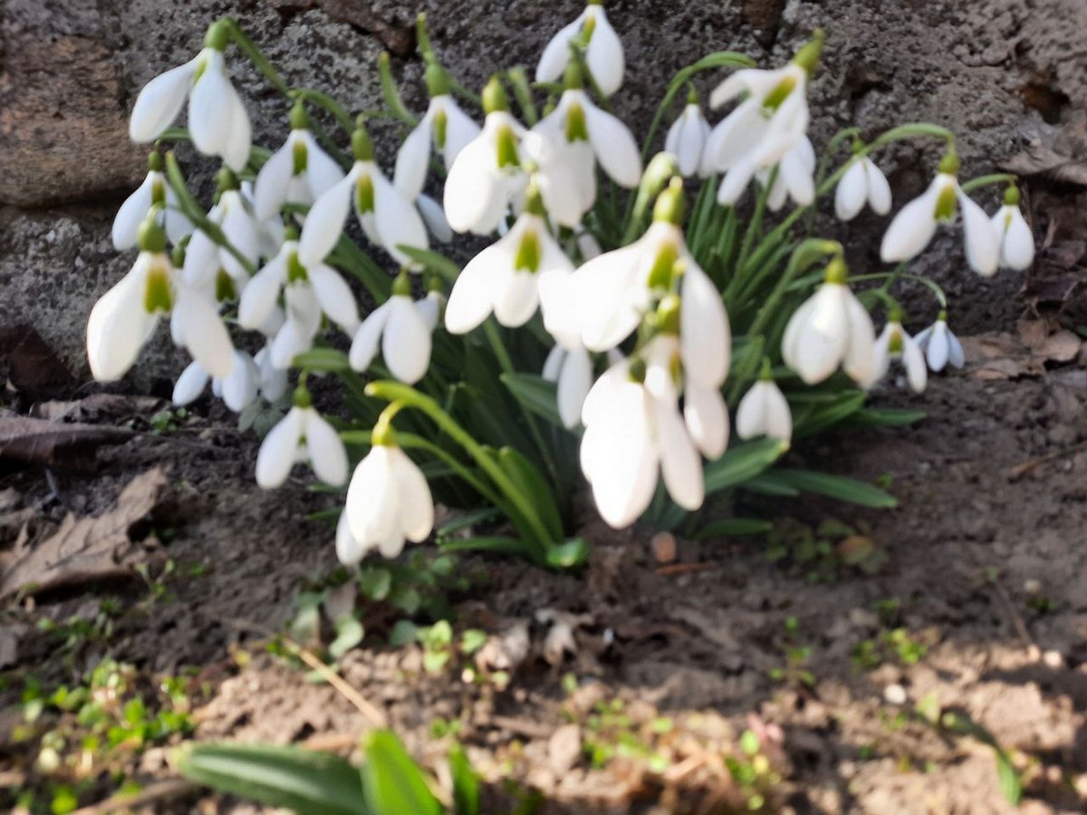 До 17 градусів тепла: погода у Нікополі 7 березня 1 погода у Нікополі