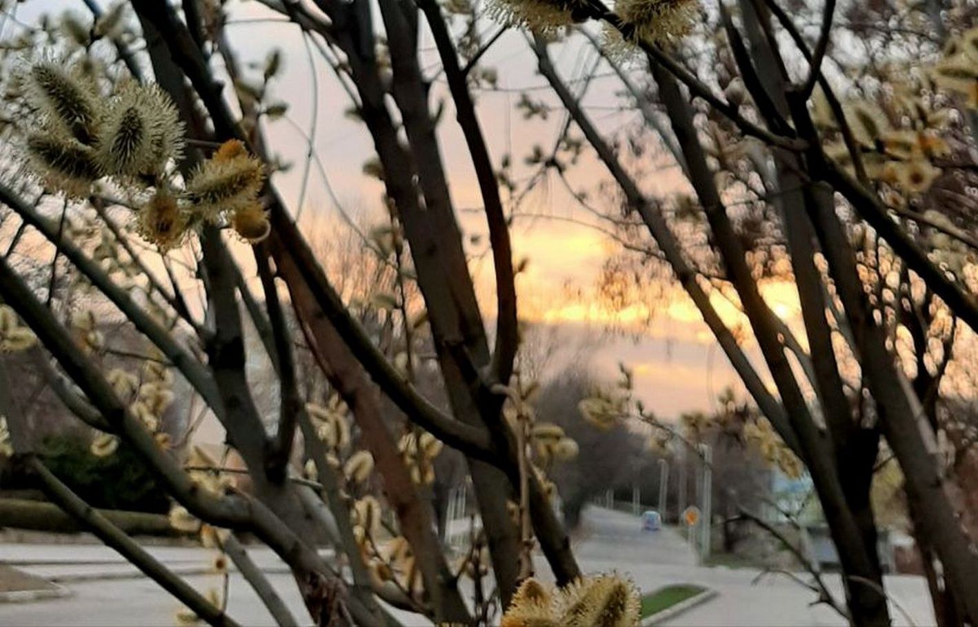 погода у Нікополі 26 березня