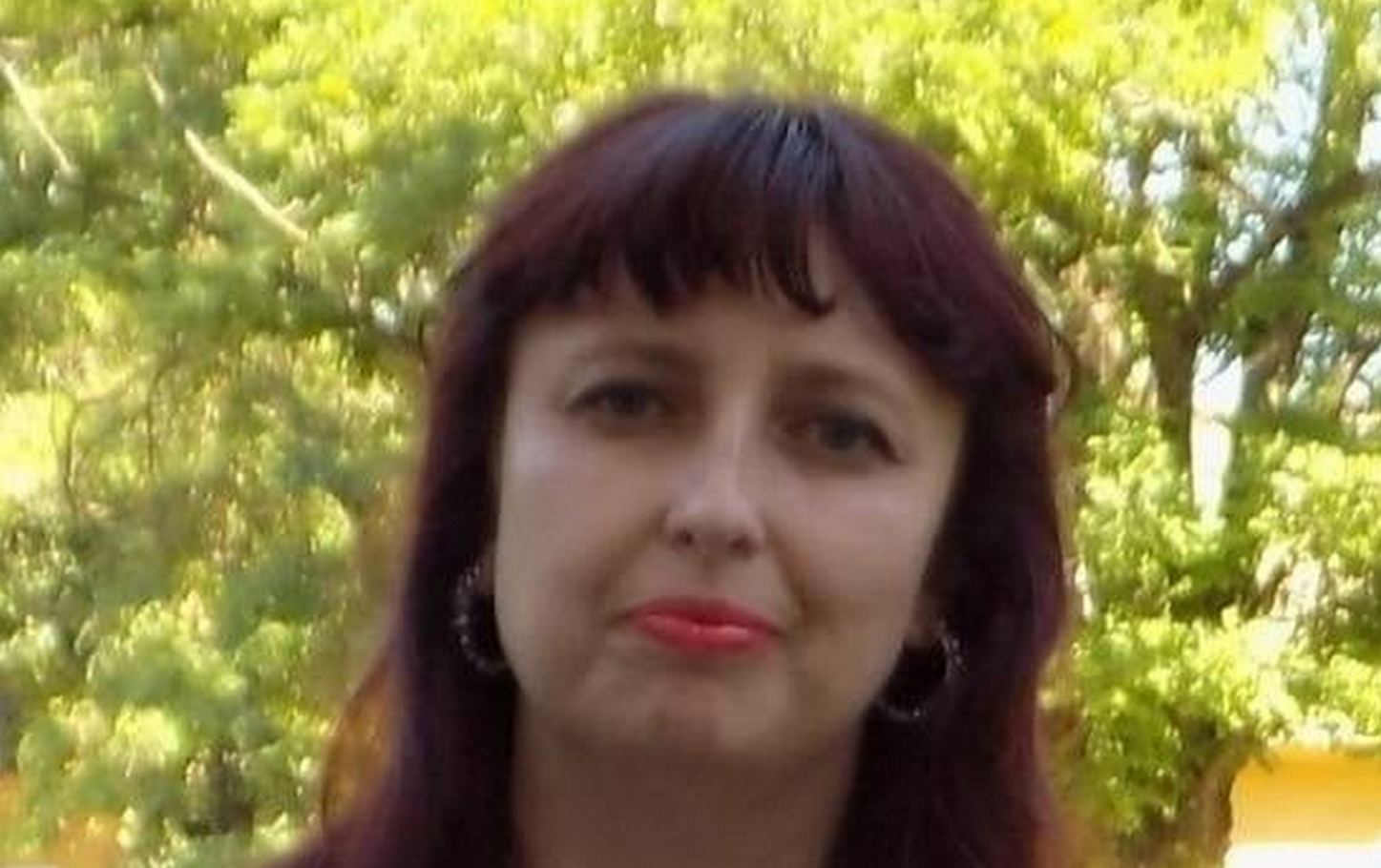 з Покрова 2