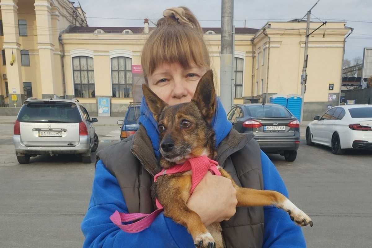 Втискалася в землю під час обстрілів: старенька Мотя з Нікополя знайшла родину в США і вже прилетіла до Америки (фото) 1 Втискалася в землю під час обстрілів: старенька Мотя з Нікополя знайшла родину в США і вже прилетіла до Америки (фото)