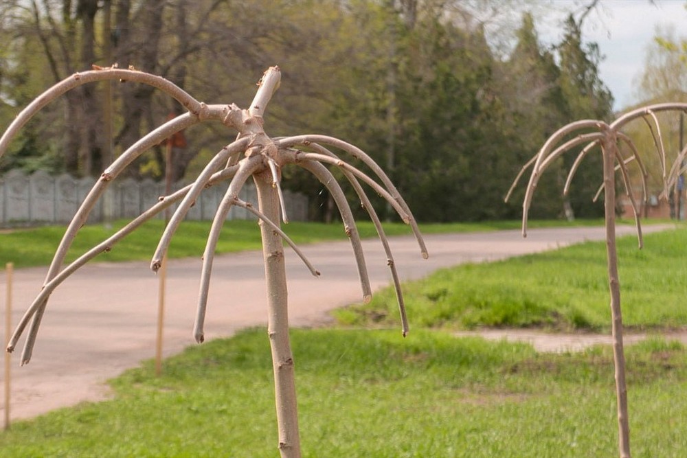 «Там, де були занедбані й забуті території, з'являються квітники з трояндами» - на прифронтовій Нікопольщині впорядковують територію навесні