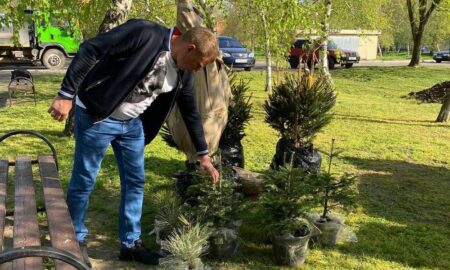На Нікопольщині створять екологічний клас під відкритим небом і вже висадили ялинки, сосни та дуби (фото)