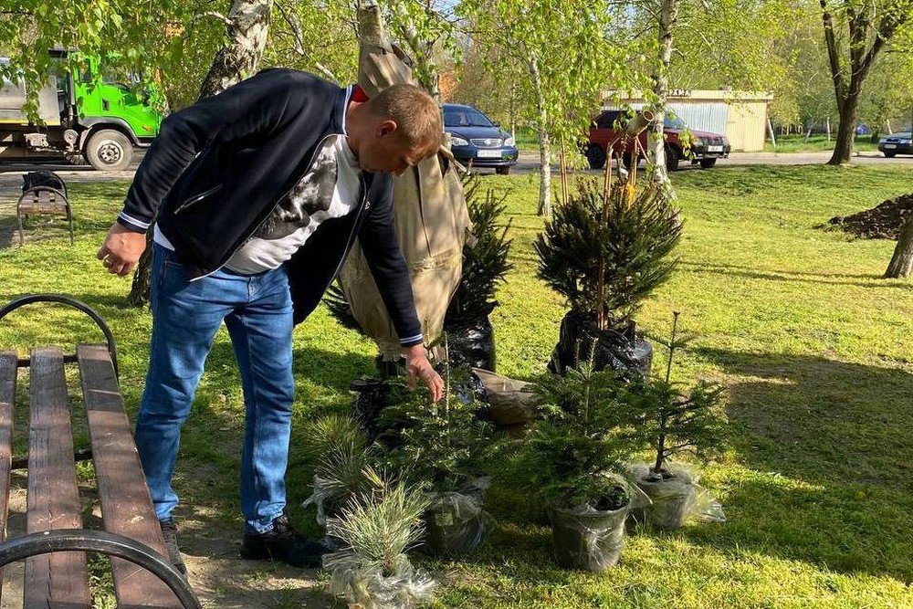 На Нікопольщині створять екологічний клас під відкритим небом і вже висадили ялинки, сосни та дуби (фото)