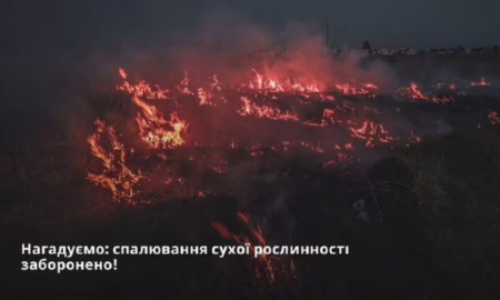 До 21 420 грн: мешканцям Нікополя нагадали про штрафи за спалювання сухої рослинності