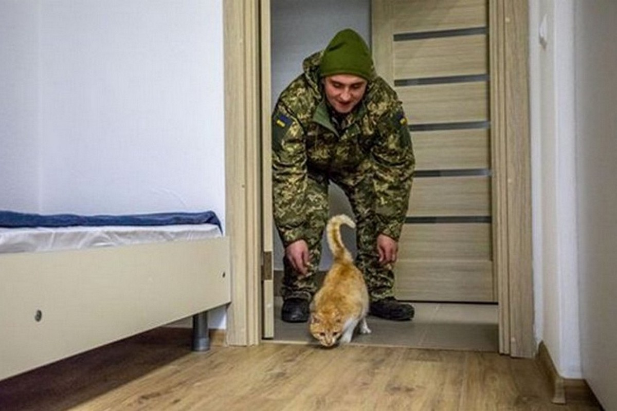 На Дніпропетровщині вже 284 Героїв та їх родин придбали житло за державний кошт 1 На Дніпропетровщині вже 284 Героїв та їх родин придбали житло за державний кошт