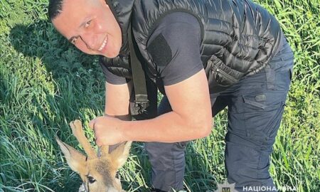 Поліцейські Кривого Рогу