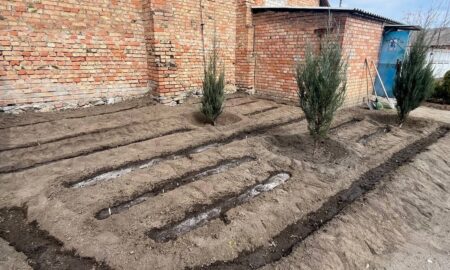 Щоб алеї зеленіли і цвіли, а вулиці були затишними: у Придніпровському на Нікопольщині дбають про зелені насадження