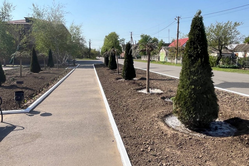 «Кожна врятована рослина — це збережене майбутнє»: мешканців Червоногригорівської громади просять поливати зелені насадження (фото)