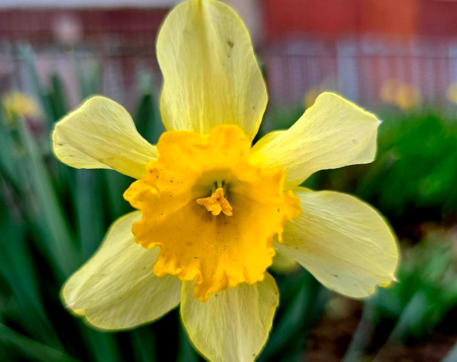 погода у Нікополі